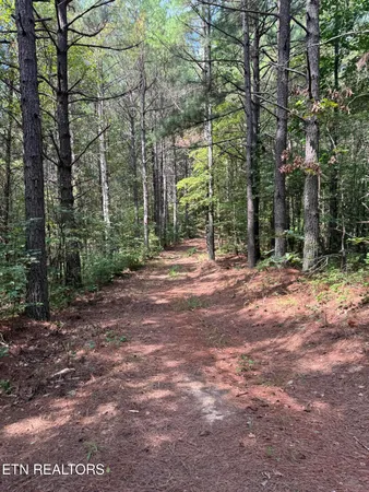 $450,000 | Hannah Davidson Road, Sunbright, TN 37872