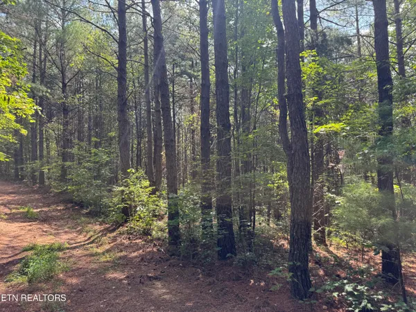 $450,000 | Hannah Davidson Road, Sunbright, TN 37872