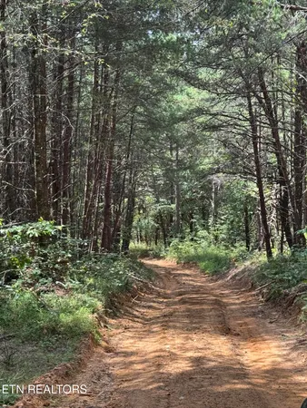 $450,000 | Hannah Davidson Road, Sunbright, TN 37872