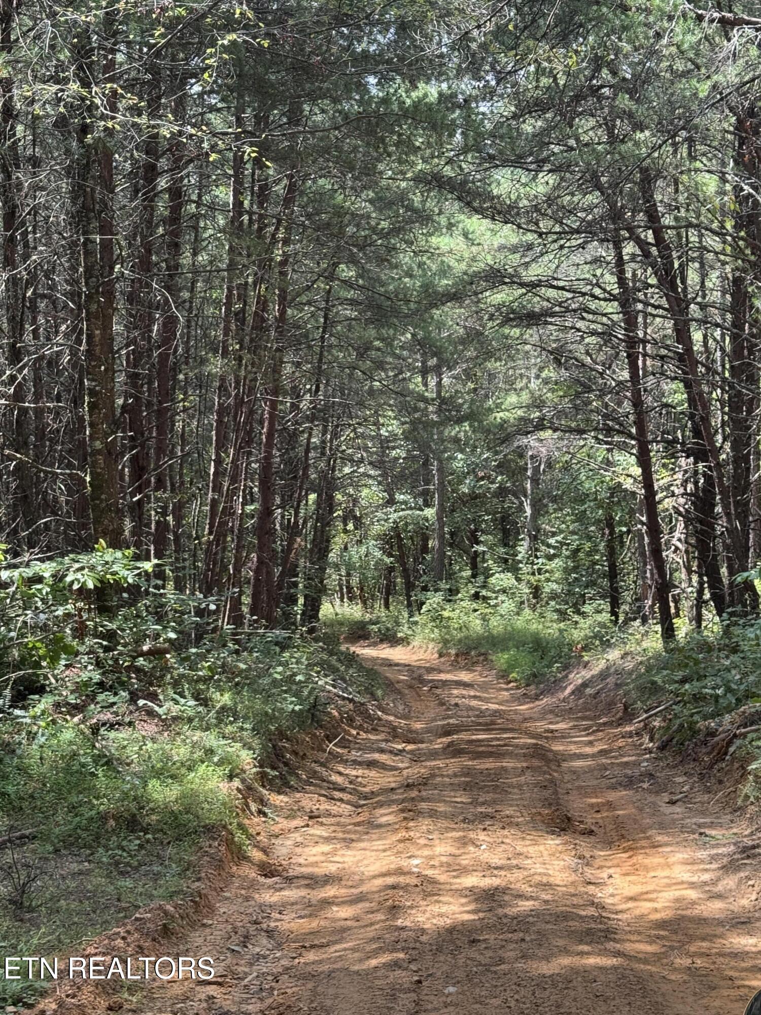 Hannah Davidson Road Sunbright, TN 37872 - Photo 10 of 11 IMG_4234