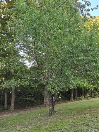 $190,000 | 11498 Weatherman Drive, Mountain Grove, MO 65711