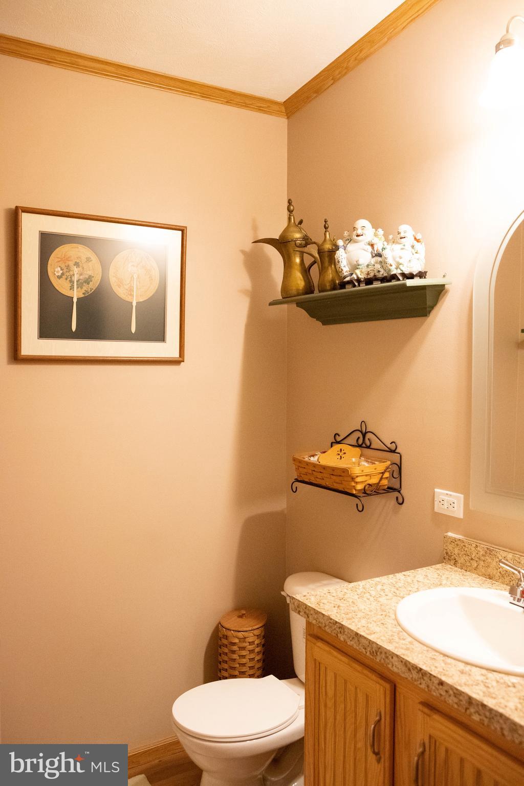4312 Ridge Drive Mount Airy, MD 21771 - Photo 14 of 24 Hallway 1/2 bathroom