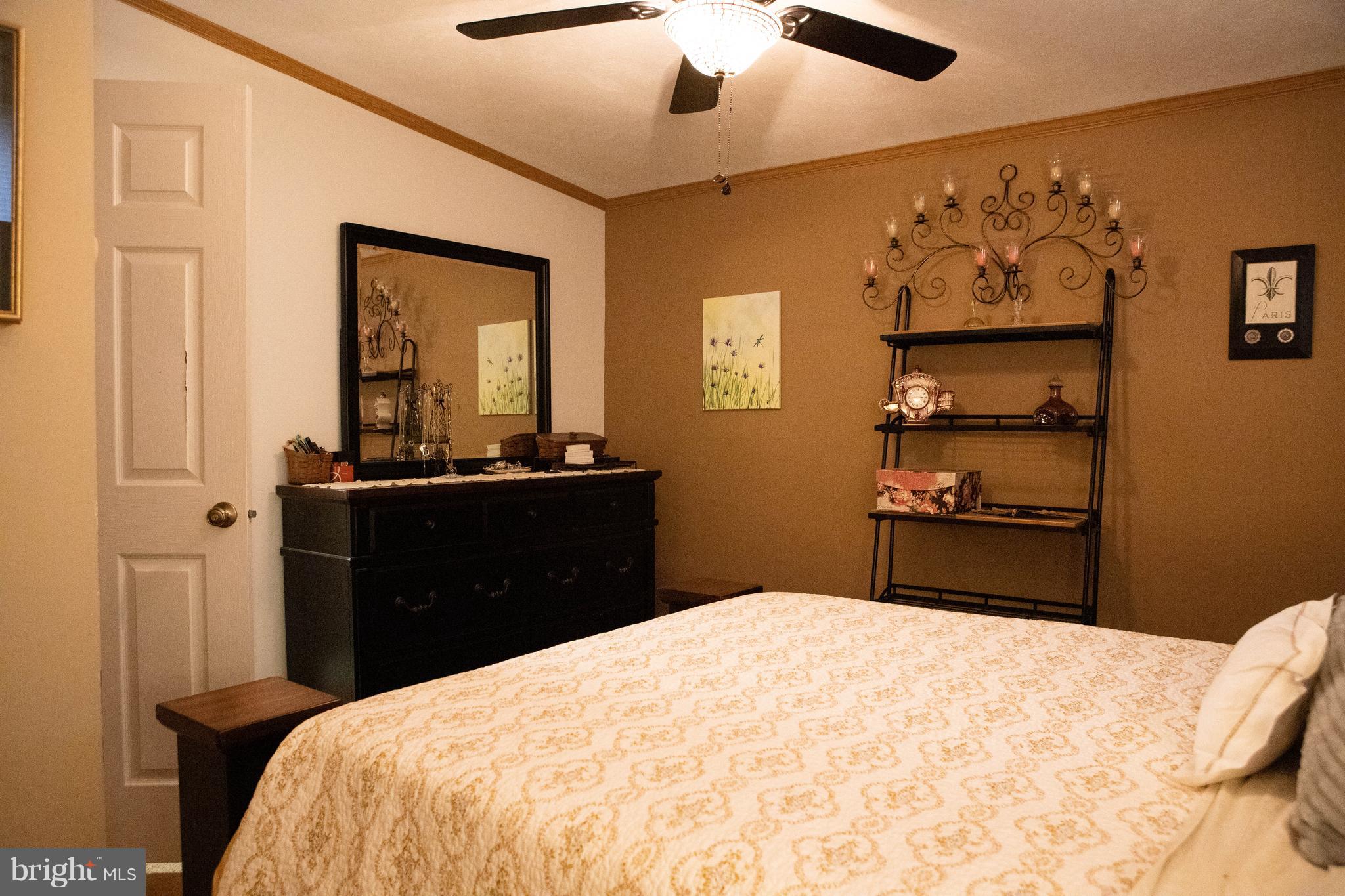 4312 Ridge Drive Mount Airy, MD 21771 - Photo 17 of 24 Master Bedroom with entry into Master Bathroom