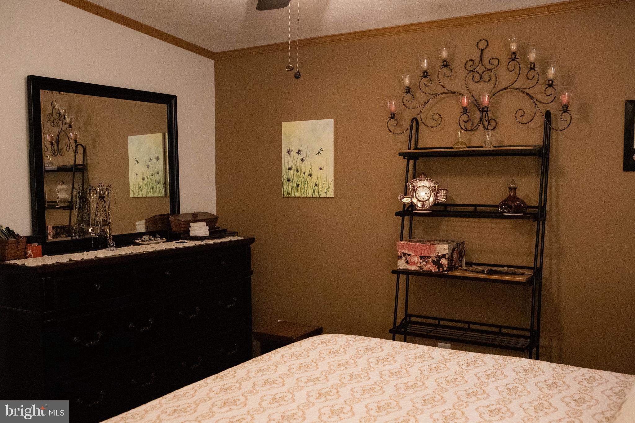 4312 Ridge Drive Mount Airy, MD 21771 - Photo 18 of 24 Masterbedroom