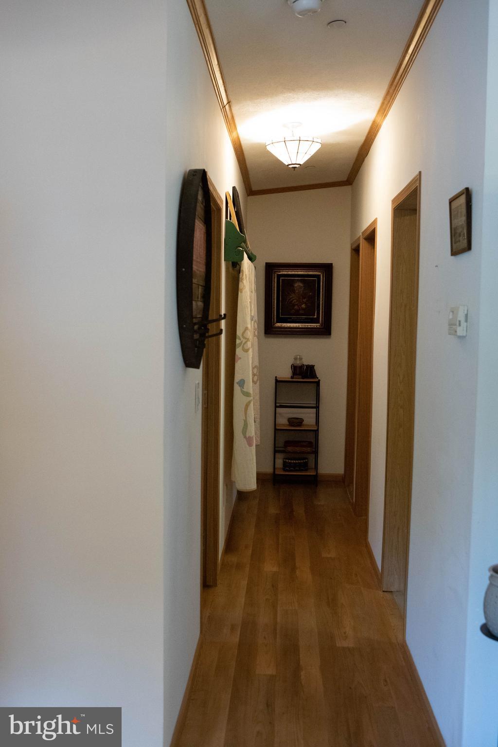 4312 Ridge Drive Mount Airy, MD 21771 - Photo 9 of 24 Main Hallway