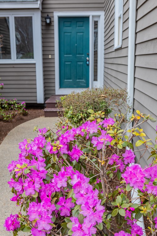 85 Bishops Forest Drive, Unit 85 Waltham, MA 02452 - Photo 2 of 32 a flower plants