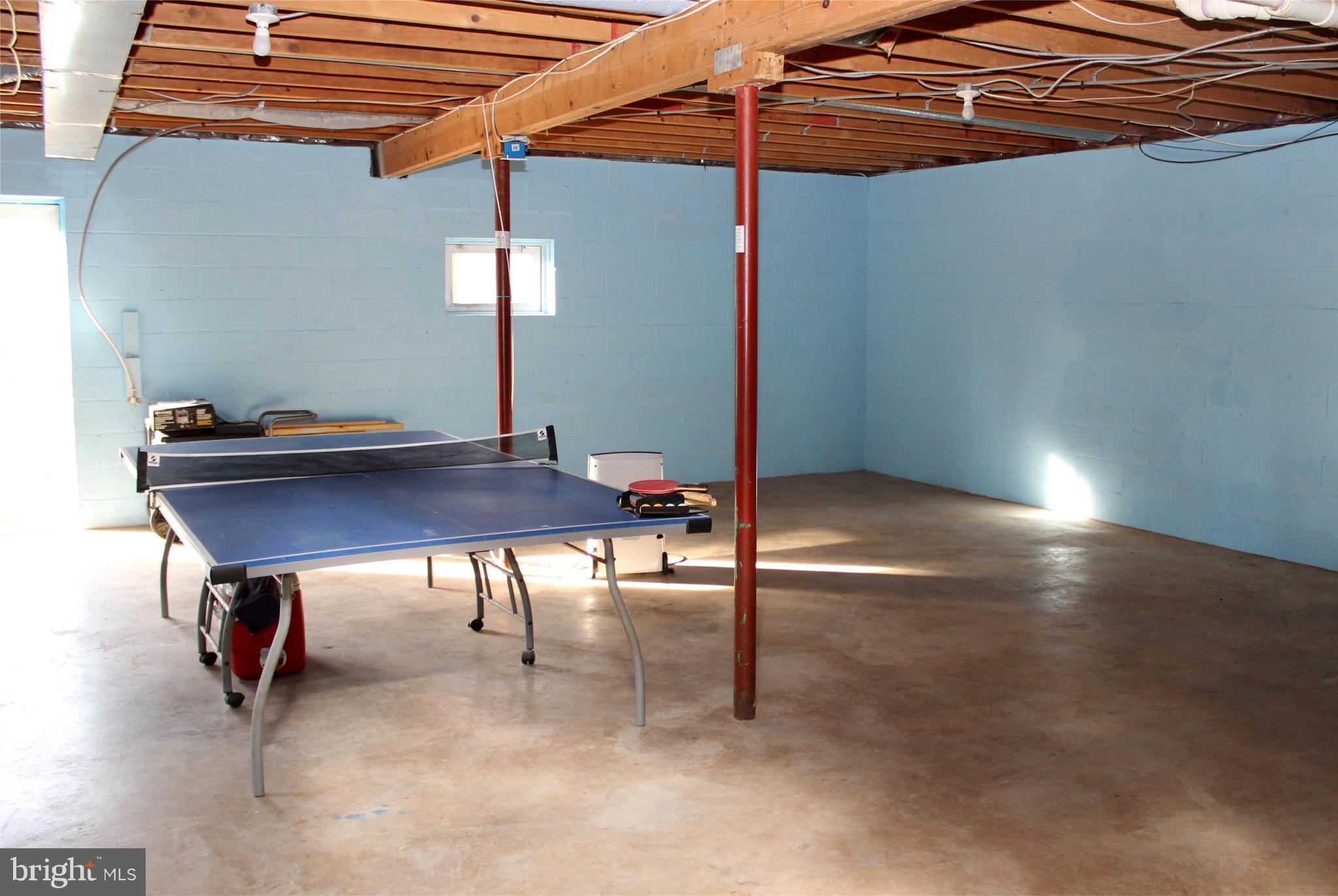 10311 River Road Rixeyville, VA 22737 - Photo 25 of 30 Basement