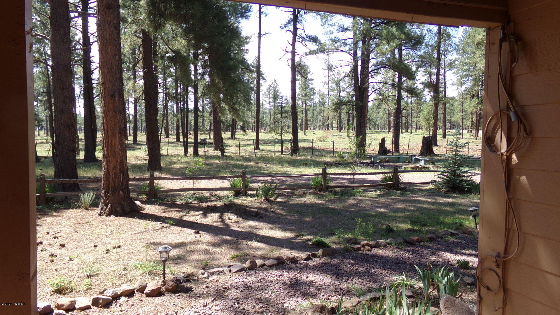 226 County Road Blue, AZ 85922 - Photo 11 of 63