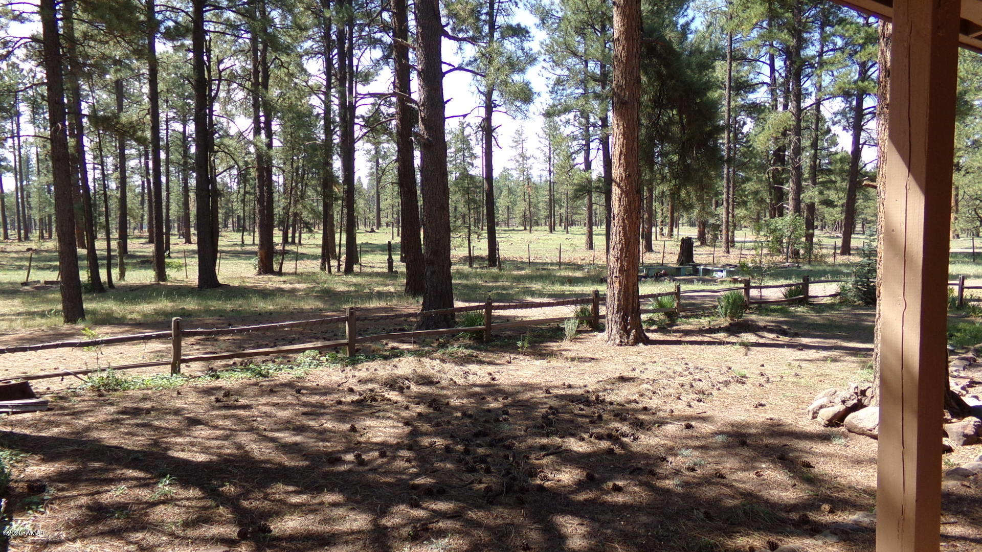 226 County Road Blue, AZ 85922 - Photo 12 of 63