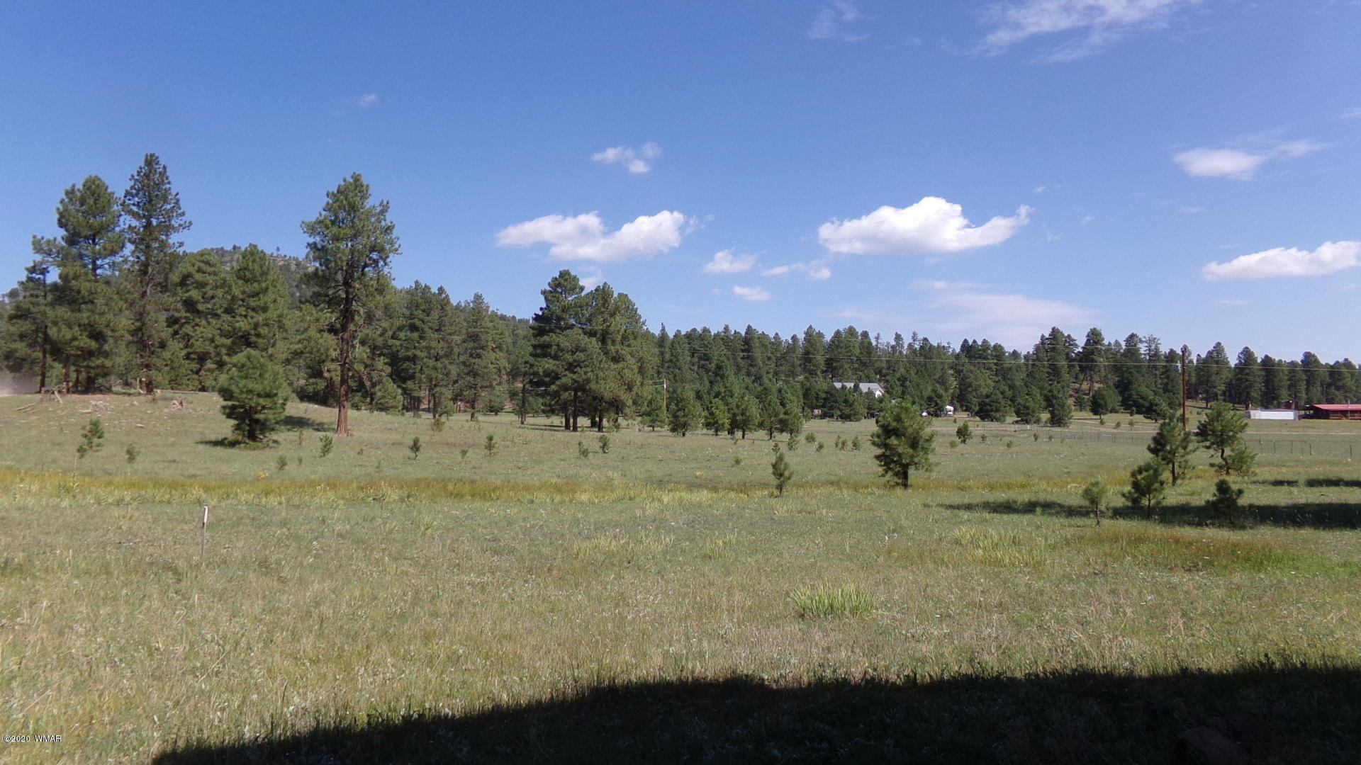 226 County Road Blue, AZ 85922 - Photo 10 of 63