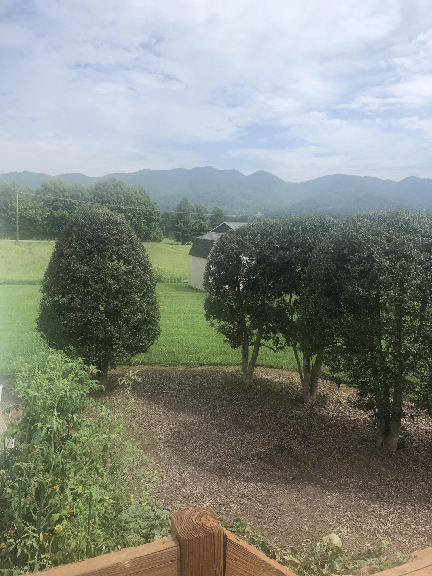 2170 Siam Road Elizabethton, TN 37643 - Photo 38 of 56 EE43D1D5-6EAE-48AC-B53F-507D8B1D286E