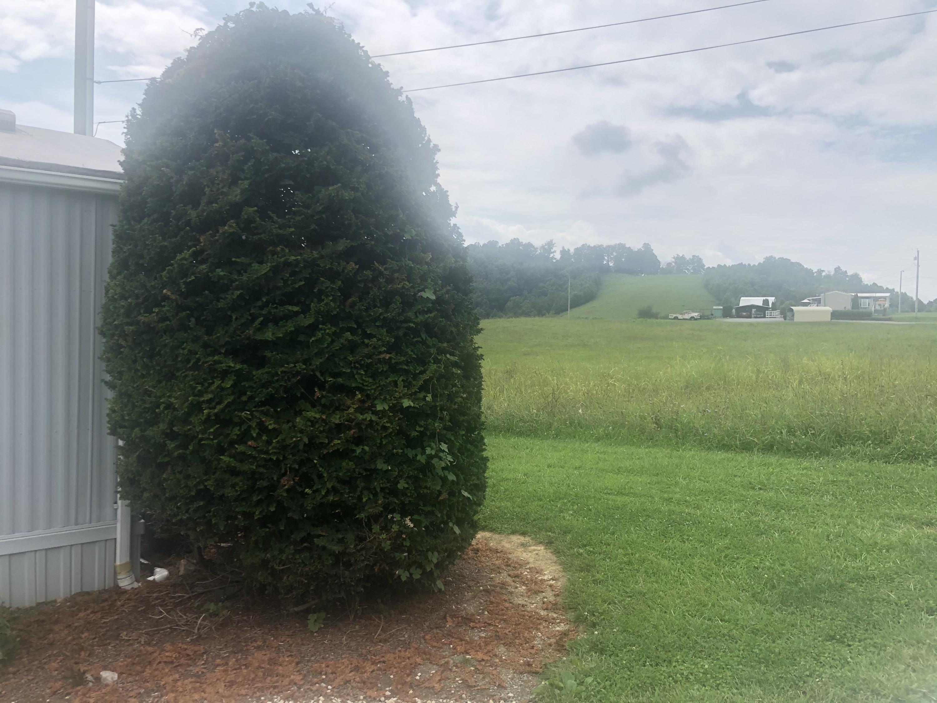 2170 Siam Road Elizabethton, TN 37643 - Photo 10 of 56 F1F60A17-2DD9-4483-BB00-60D0BFB08C9A