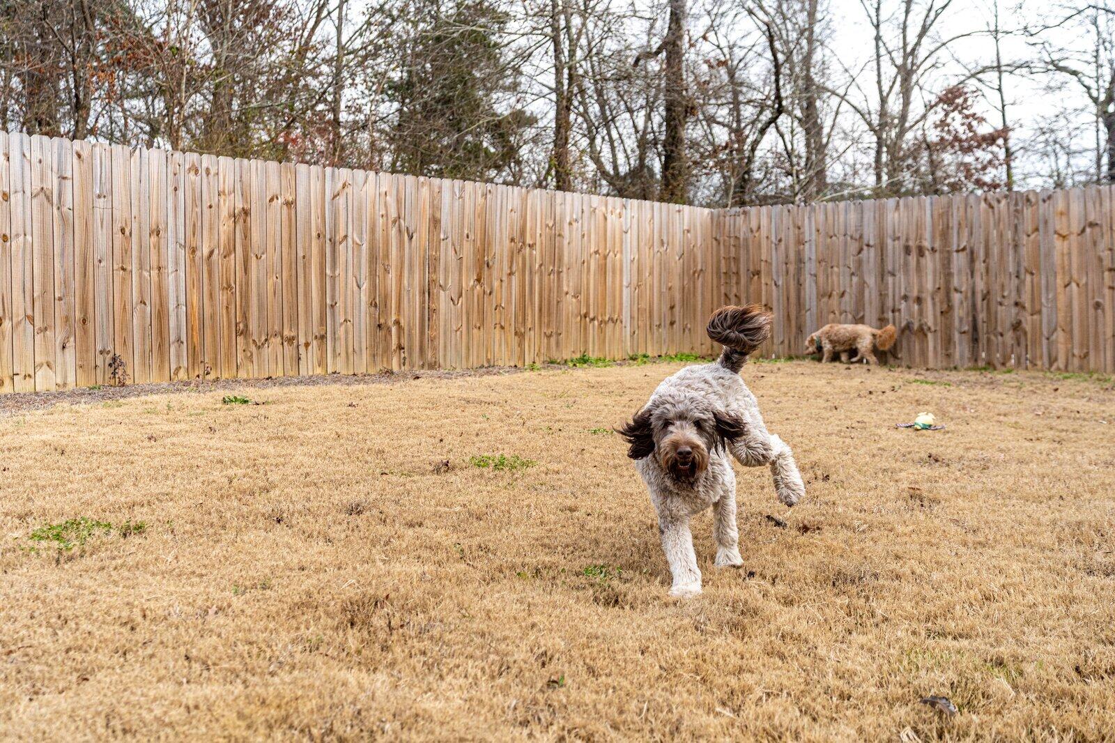 6450 Dharma Loop Chattanooga, TN 37412 - Photo 5 of 34 6450 Dharma Loop-30 (1)