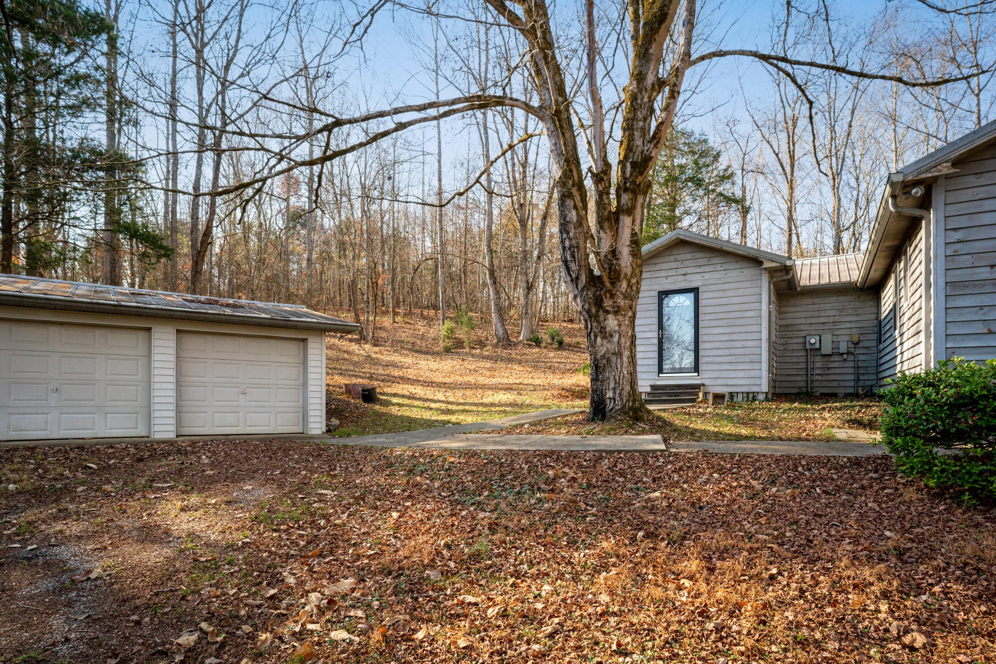 11405 Highway 58 Georgetown, TN 37336 - Photo 24 of 70 a backyard of a house with lots of green space
