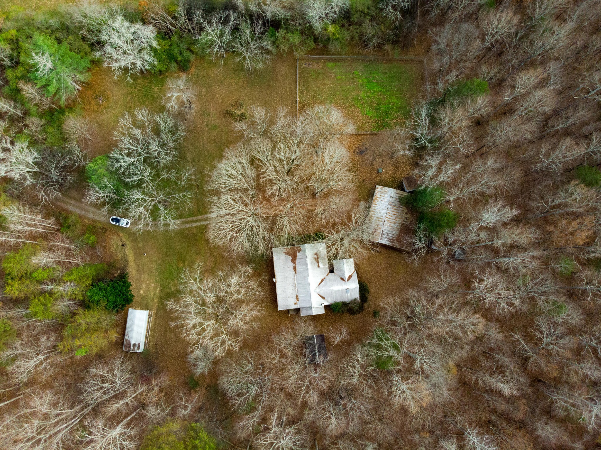 11405 Highway 58 Georgetown, TN 37336 - Photo 31 of 70 a view of a lake from a yard