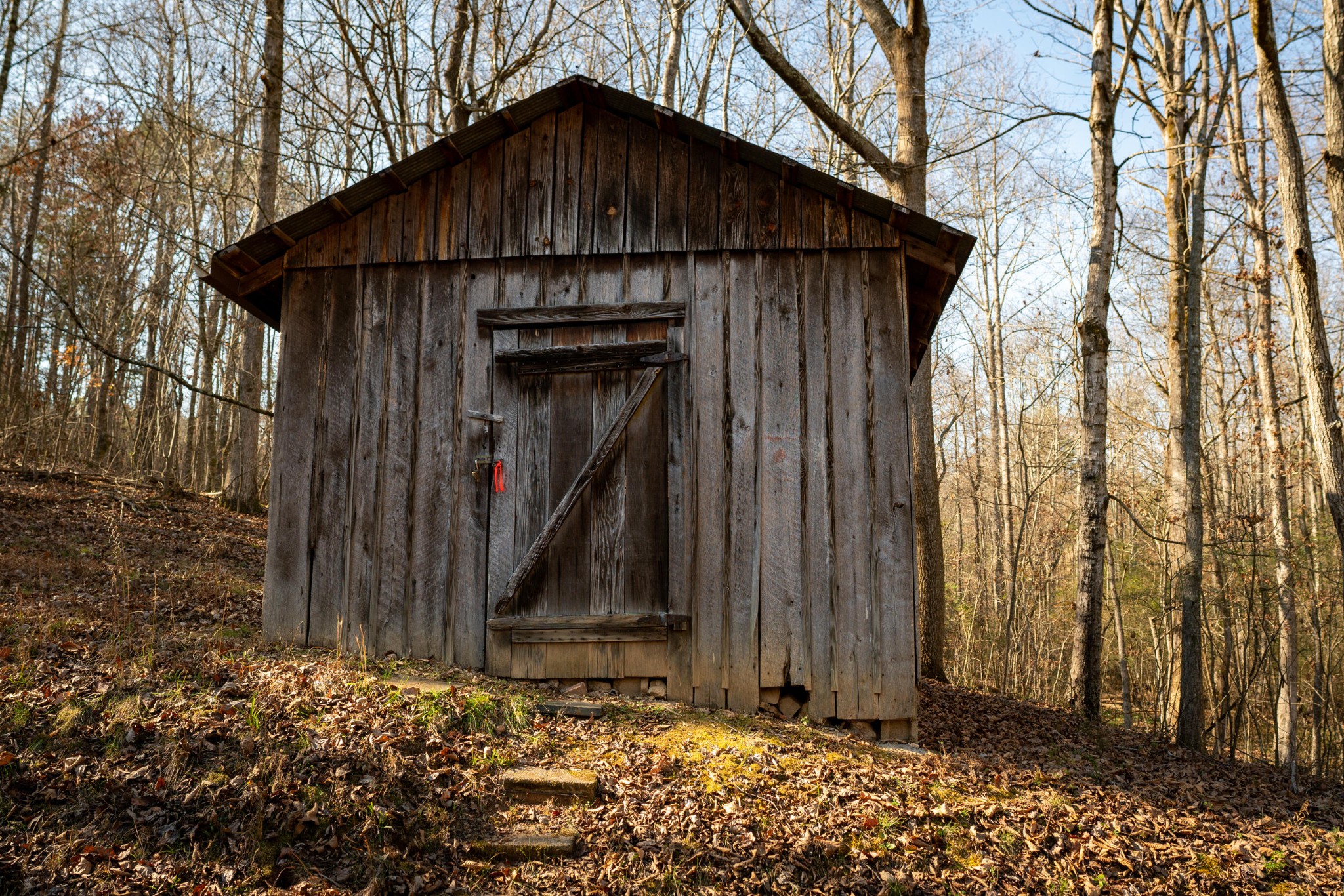 11405 Highway 58 Georgetown, TN 37336 - Photo 60 of 70 a front view of a house with garden
