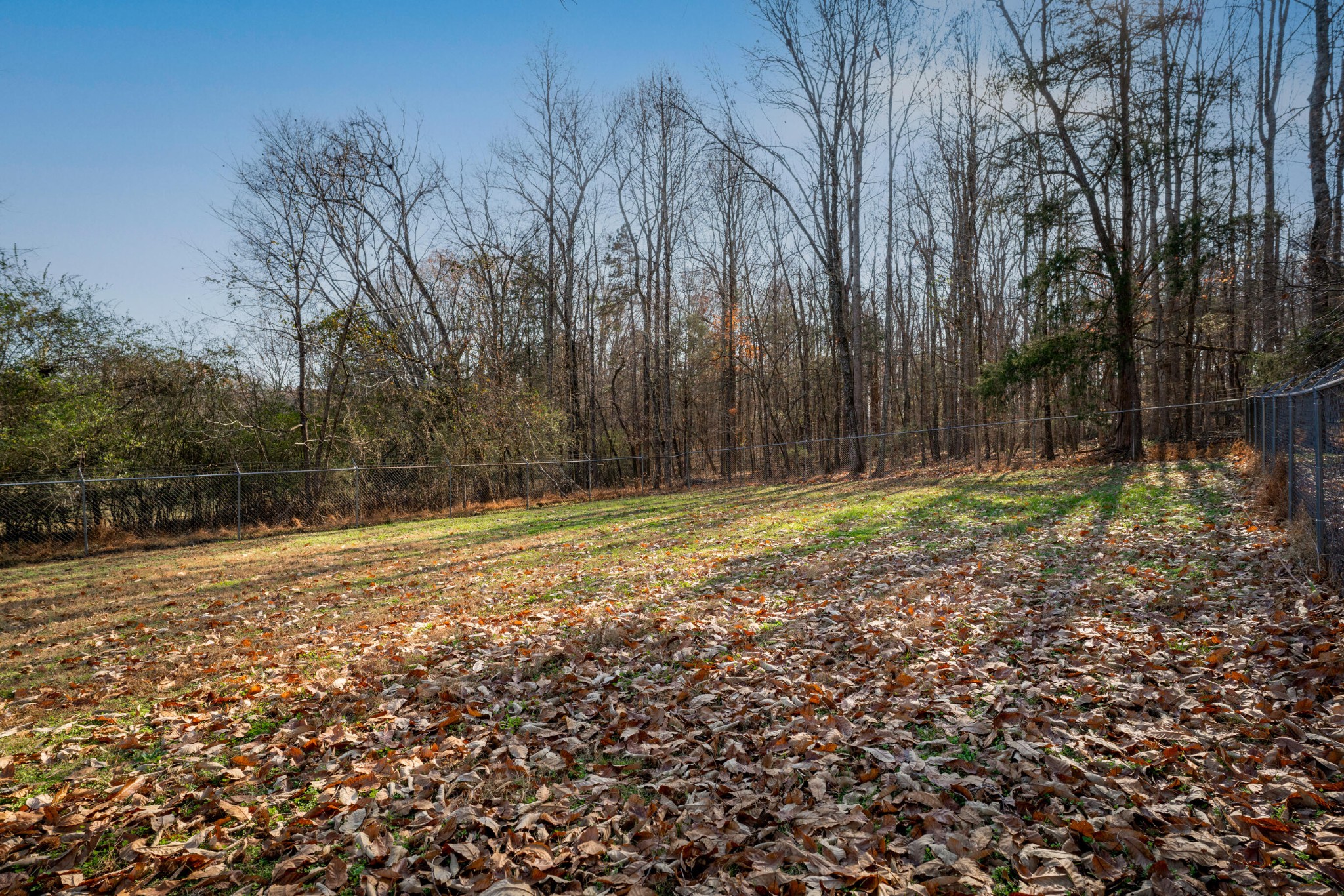 11405 Highway 58 Georgetown, TN 37336 - Photo 62 of 70 a view of outdoor space with deck and yard