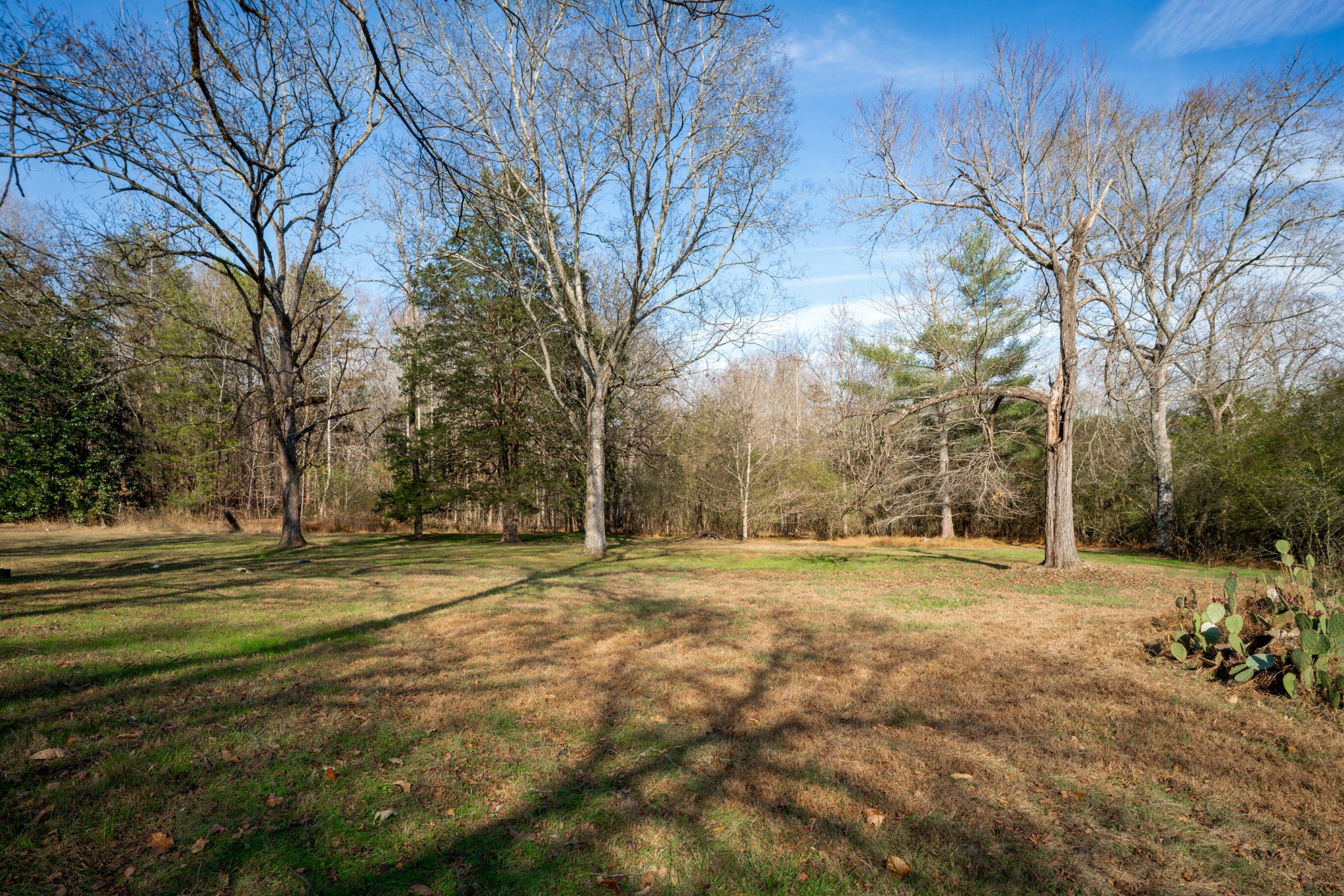 11405 Highway 58 Georgetown, TN 37336 - Photo 64 of 70 a view of a trees in a yard