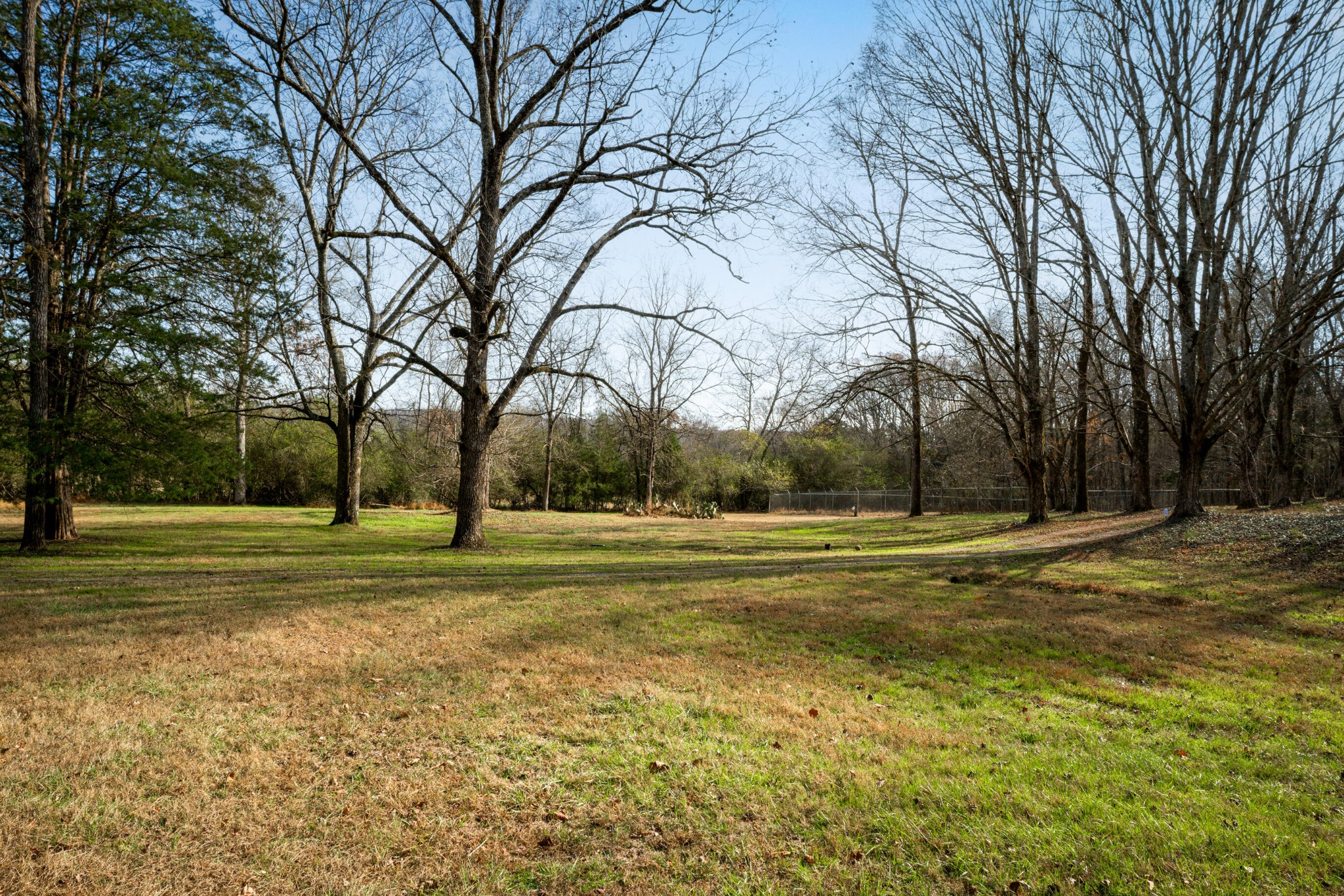 11405 Highway 58 Georgetown, TN 37336 - Photo 65 of 70 a view of a grassy field with trees