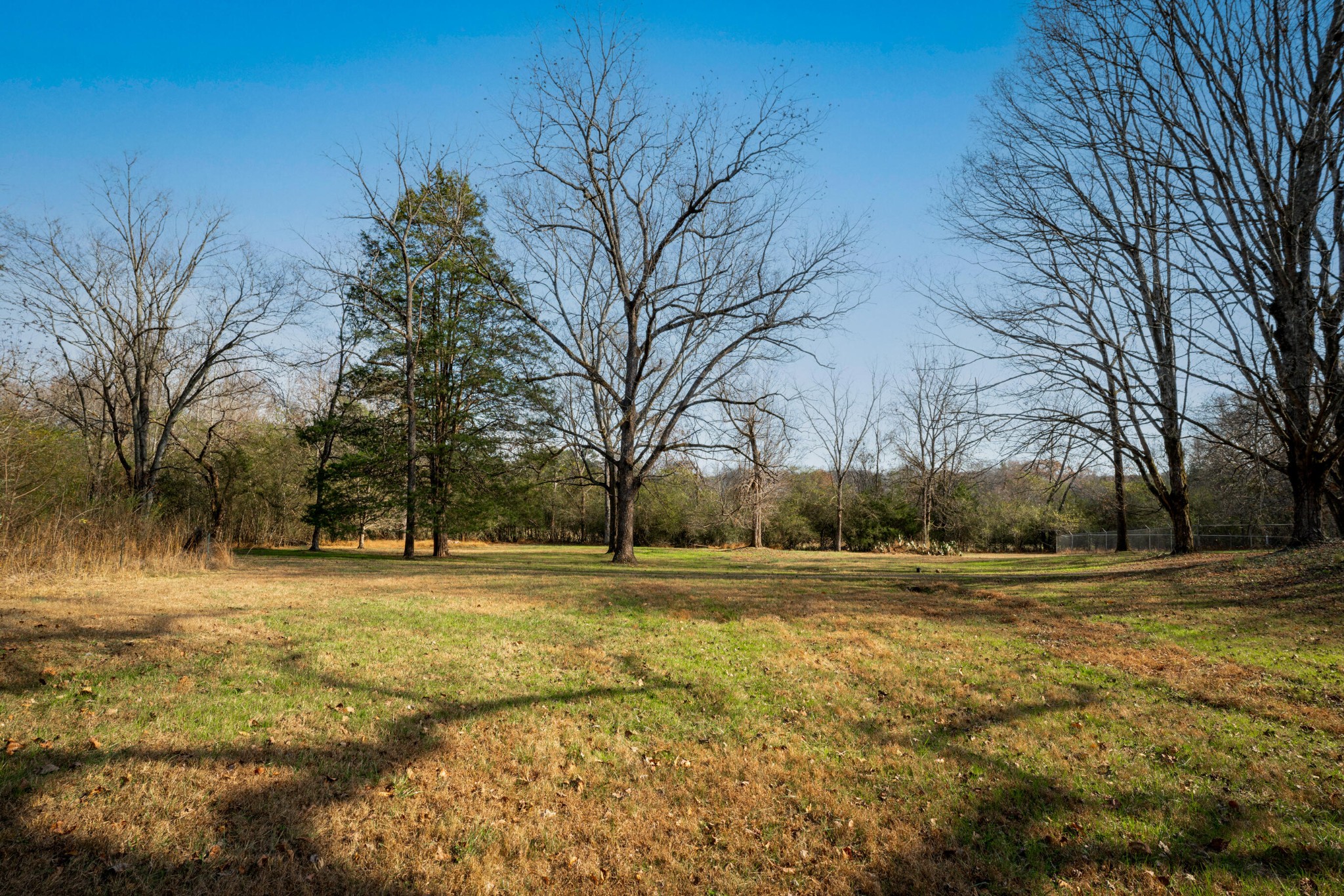11405 Highway 58 Georgetown, TN 37336 - Photo 67 of 70 a view of a yard with a house