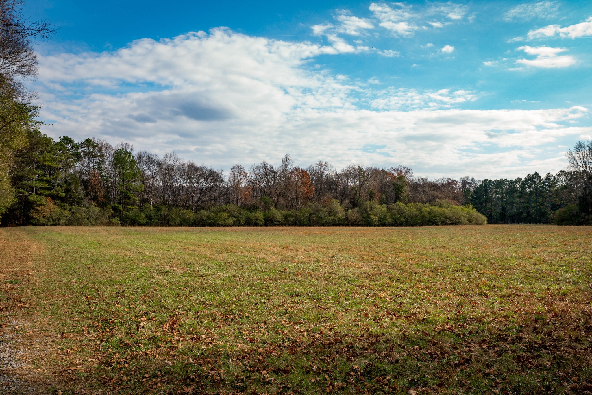 11405 Highway 58 Georgetown, TN 37336 - Photo 68 of 70 a view of an ocean