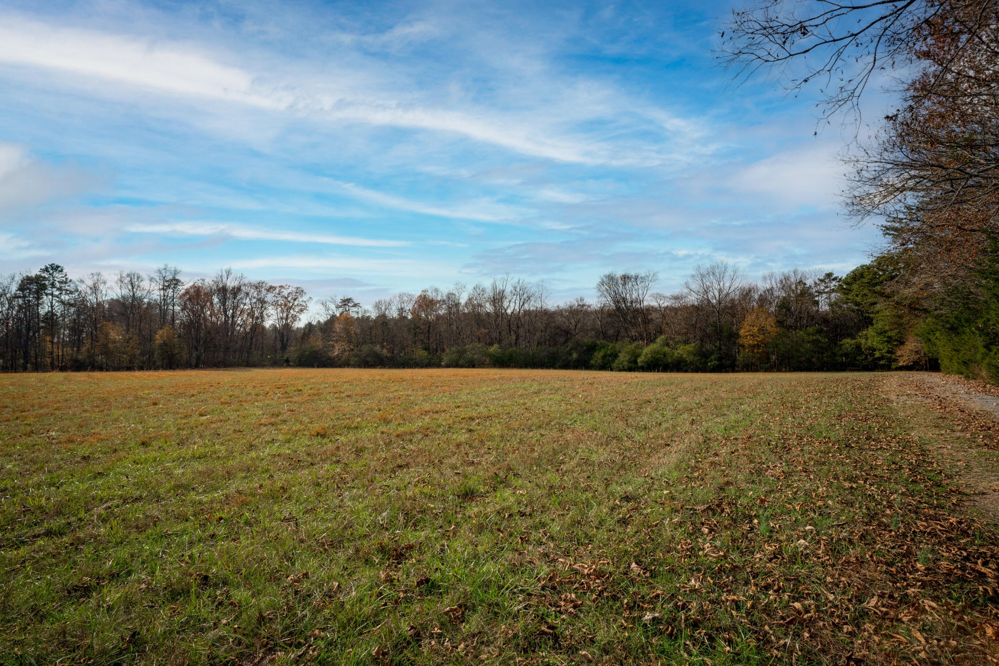 11405 Highway 58 Georgetown, TN 37336 - Photo 70 of 70 a view of an outdoor space and a yard
