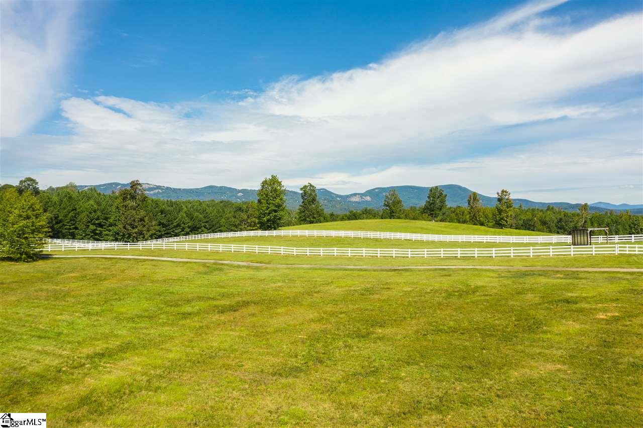 0 Howe Road, Unit LOT #1 Landrum, SC 29356 - Photo 25 of 35