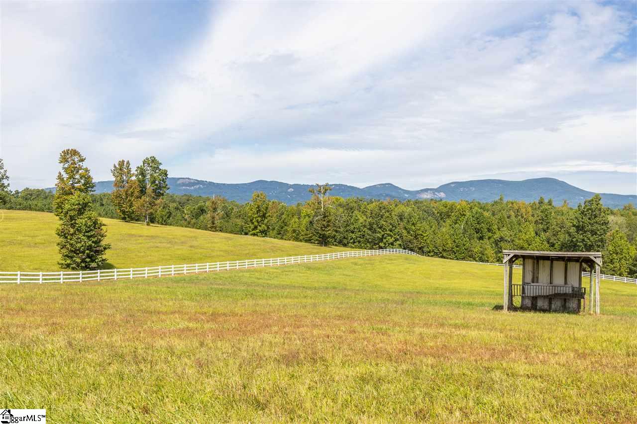 0 Howe Road, Unit LOT #1 Landrum, SC 29356 - Photo 5 of 35