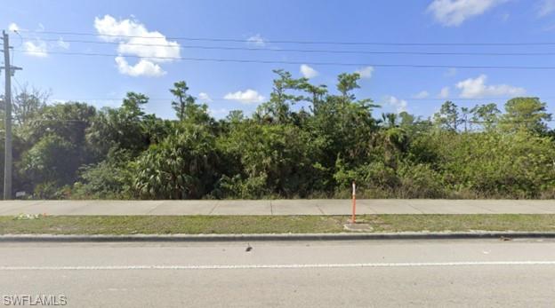 11188 Immokalee Road Naples, FL 34120 - Photo 3 of 3 View from Immokalee Road