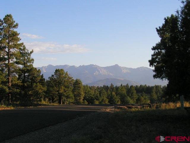 47 Puma Lane Ridgway, CO 81432 - Photo 14 of 30 718579-3