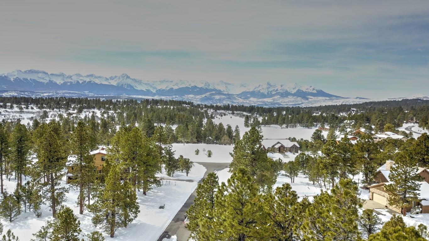 47 Puma Lane Ridgway, CO 81432 - Photo 3 of 30 DJI_0283 (Medium)