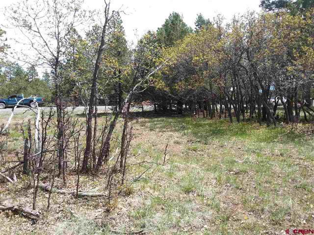 47 Puma Lane Ridgway, CO 81432 - Photo 22 of 30 718579-15