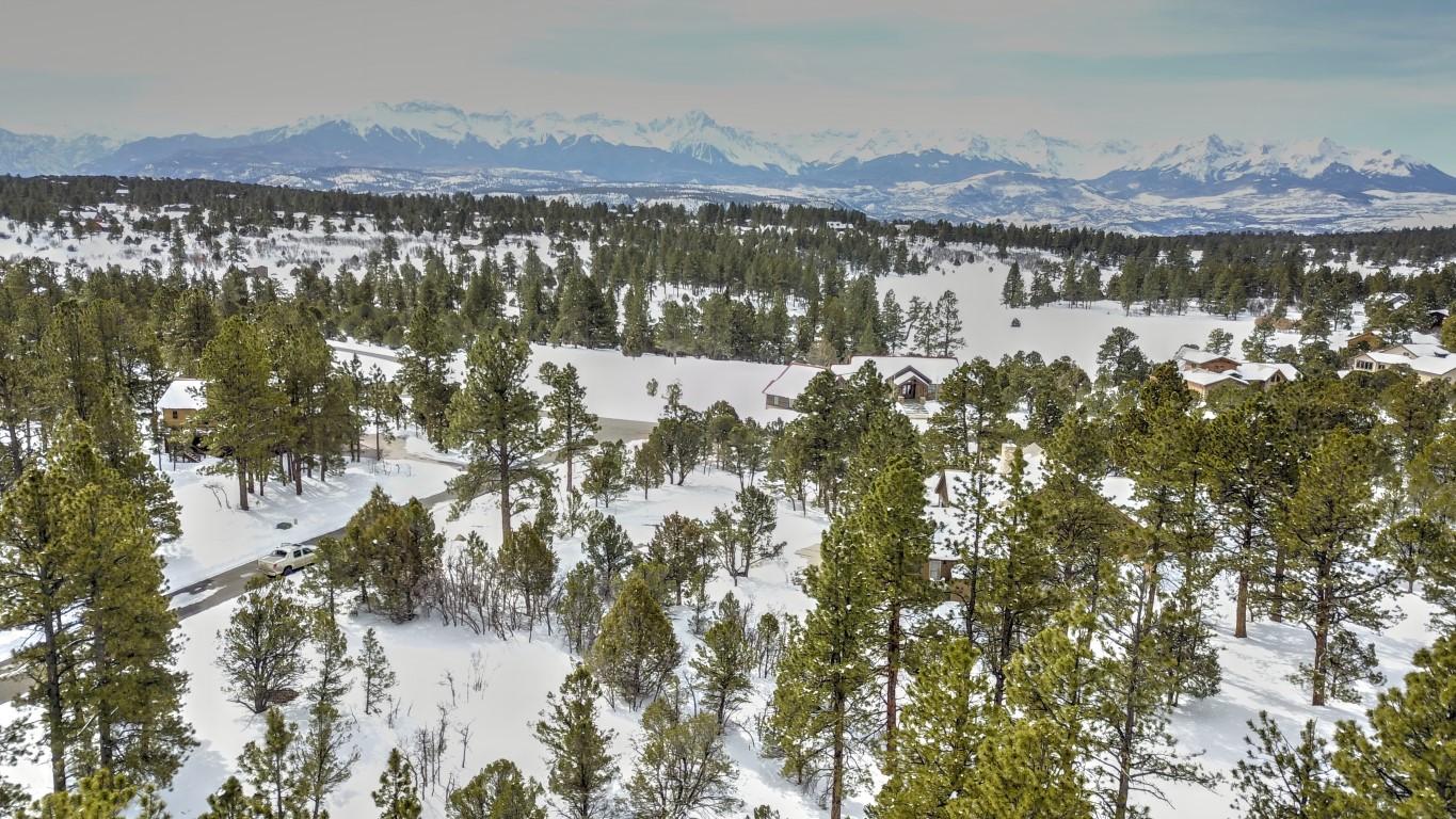 47 Puma Lane Ridgway, CO 81432 - Photo 8 of 30 DJI_0286 (Medium)