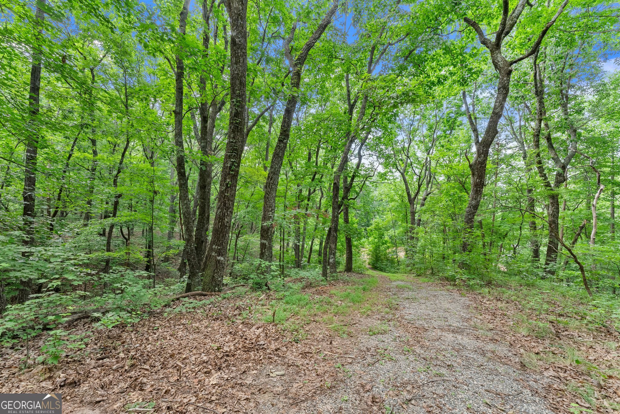 0 Wauka Ridge Road Clermont, GA 30527 - Photo 8 of 32
