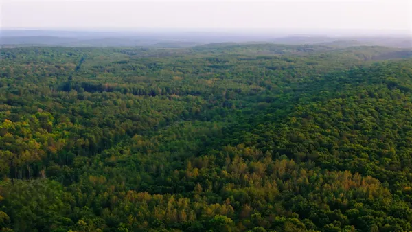 $49,999 | Tower Road, Unit 5, Crandon, WI 54520