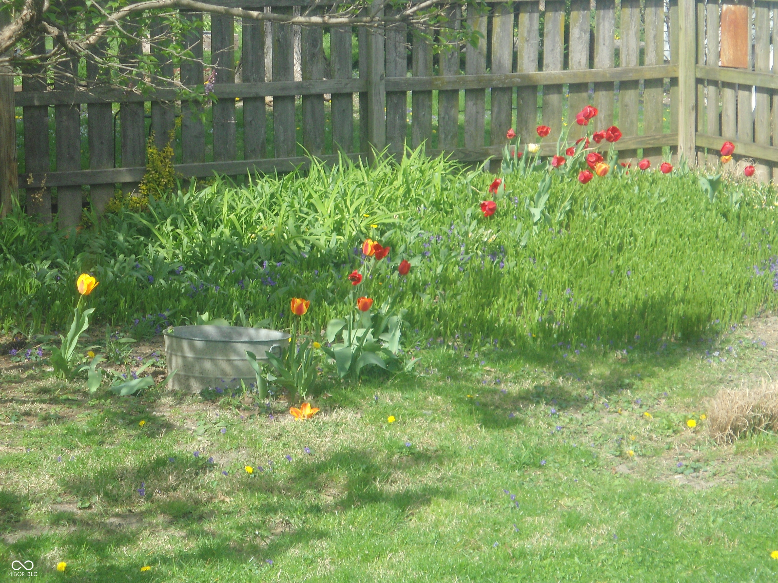 Undisclosed Address Indianapolis, IN 46201 - Photo 11 of 45