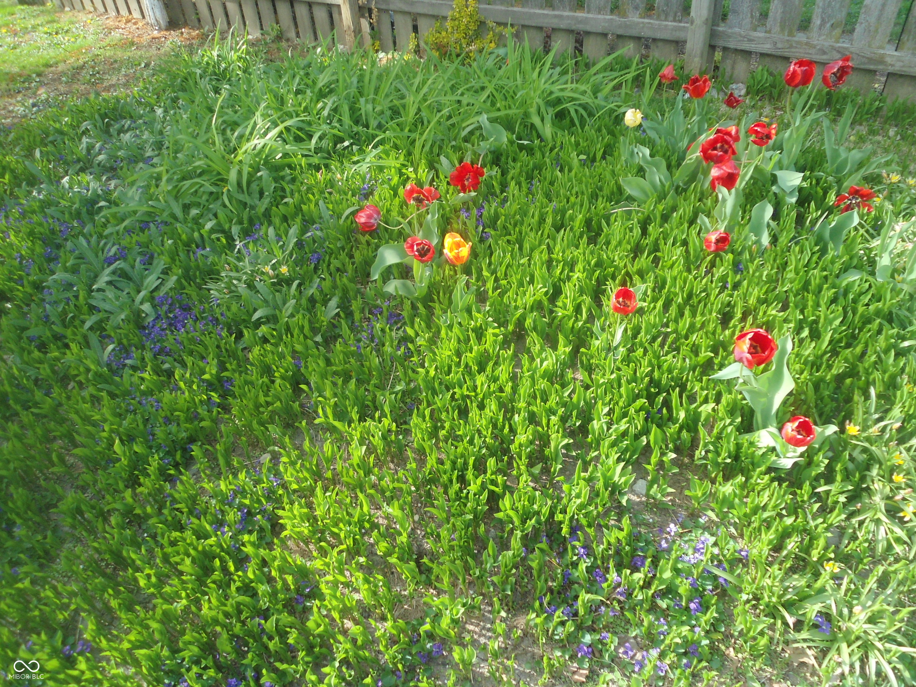 Undisclosed Address Indianapolis, IN 46201 - Photo 12 of 45