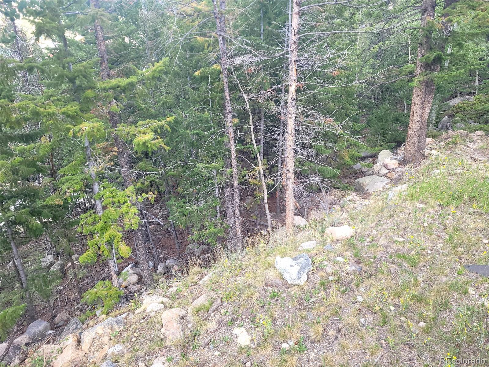 0 Guanella Pass Road Georgetown, CO 80444 - Photo 8 of 10 Gallery Image 8