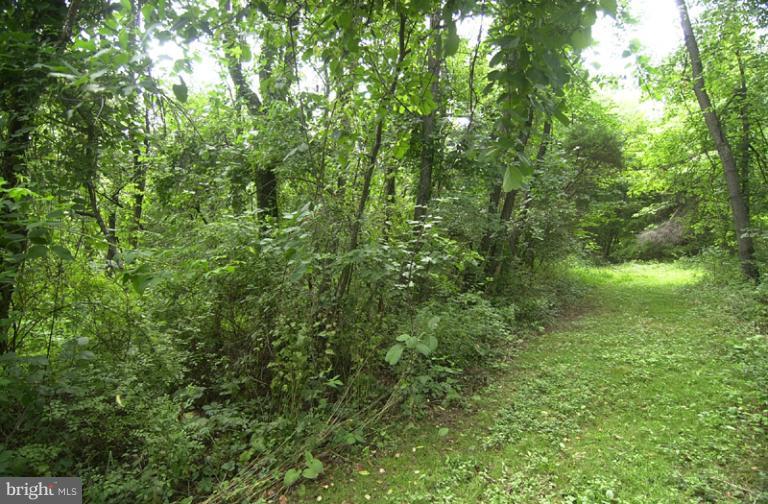 2315 Gillis Road Mount Airy, MD 21771 - Photo 5 of 30 a view of a lush green forest