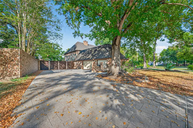 a view of a yard with plants and trees