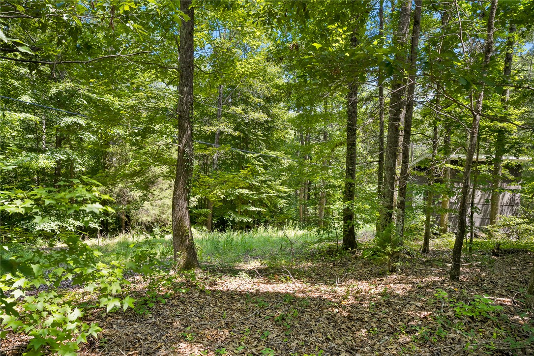 4385 Fork Shoals Road Simpsonville, SC 29680 - Photo 4 of 23