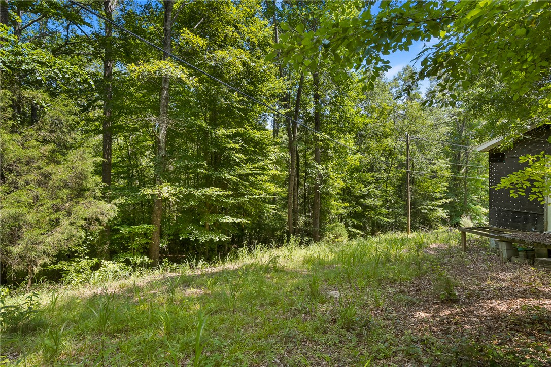 4385 Fork Shoals Road Simpsonville, SC 29680 - Photo 5 of 23