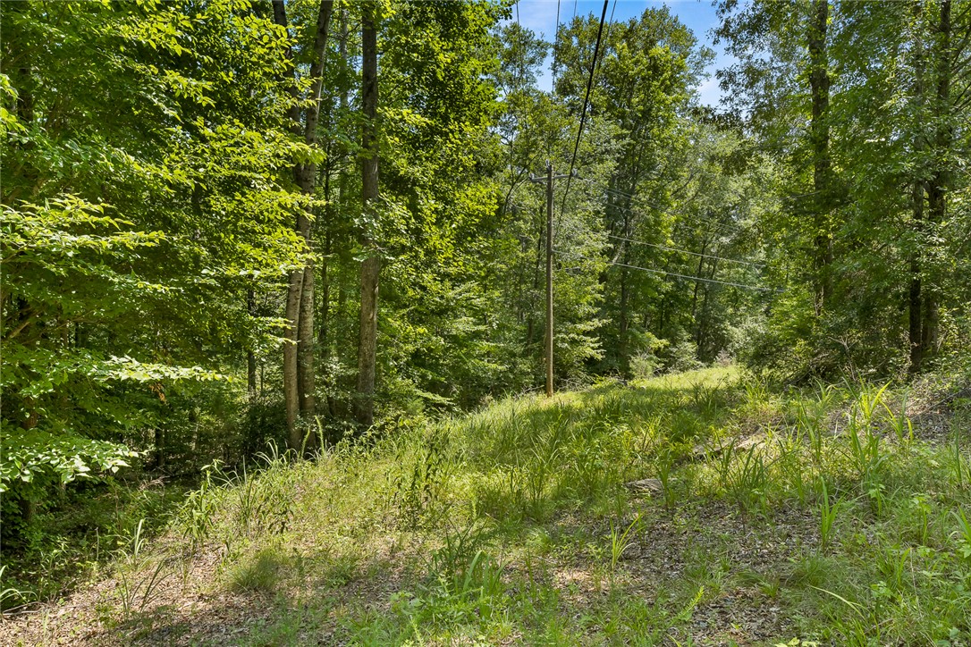 4385 Fork Shoals Road Simpsonville, SC 29680 - Photo 6 of 23