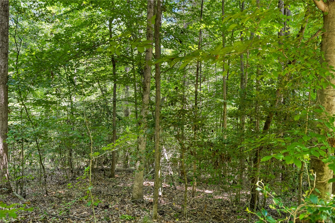4385 Fork Shoals Road Simpsonville, SC 29680 - Photo 8 of 23