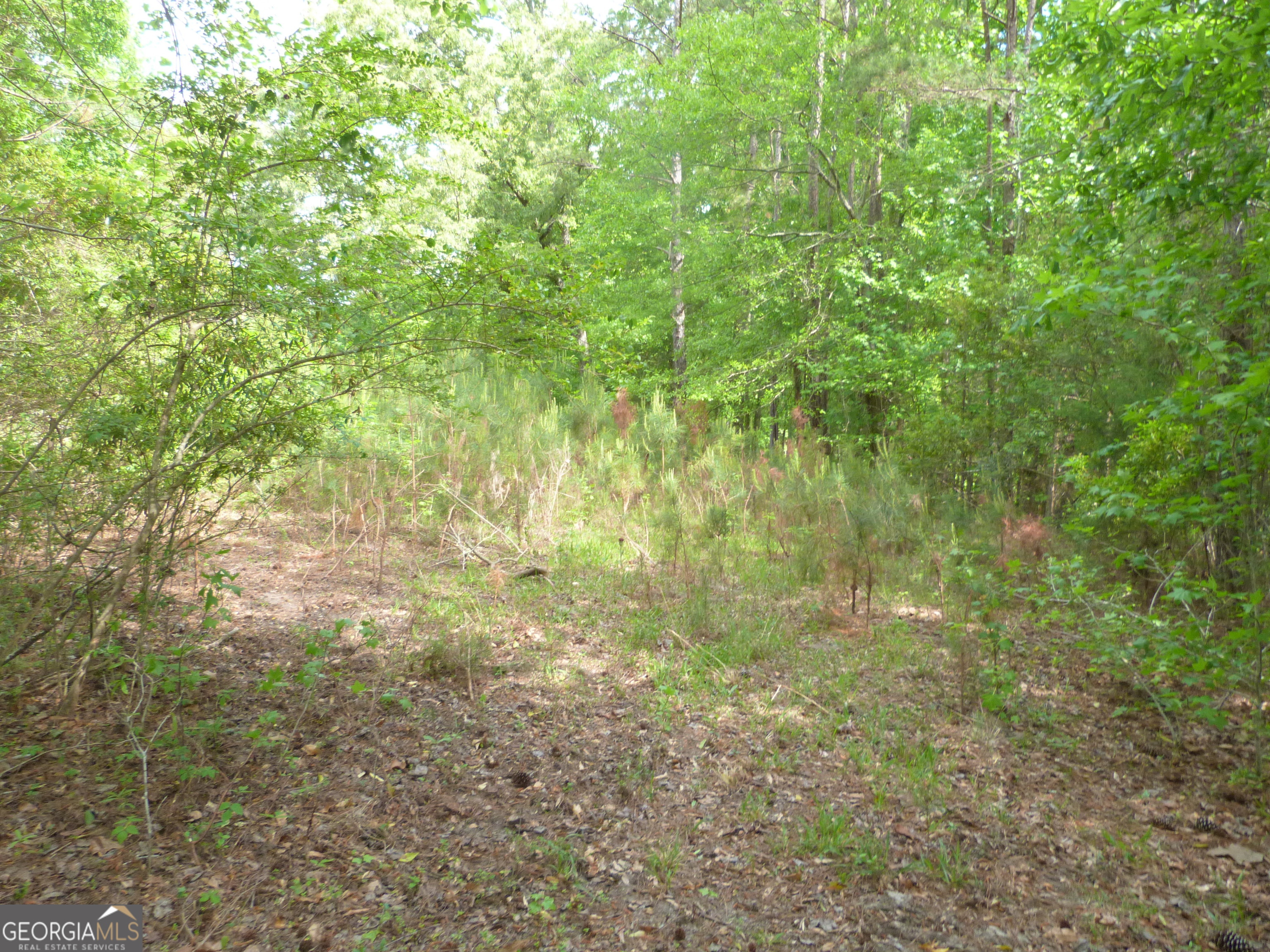 0 Winfield Road Appling, GA 30802 - Photo 4 of 7