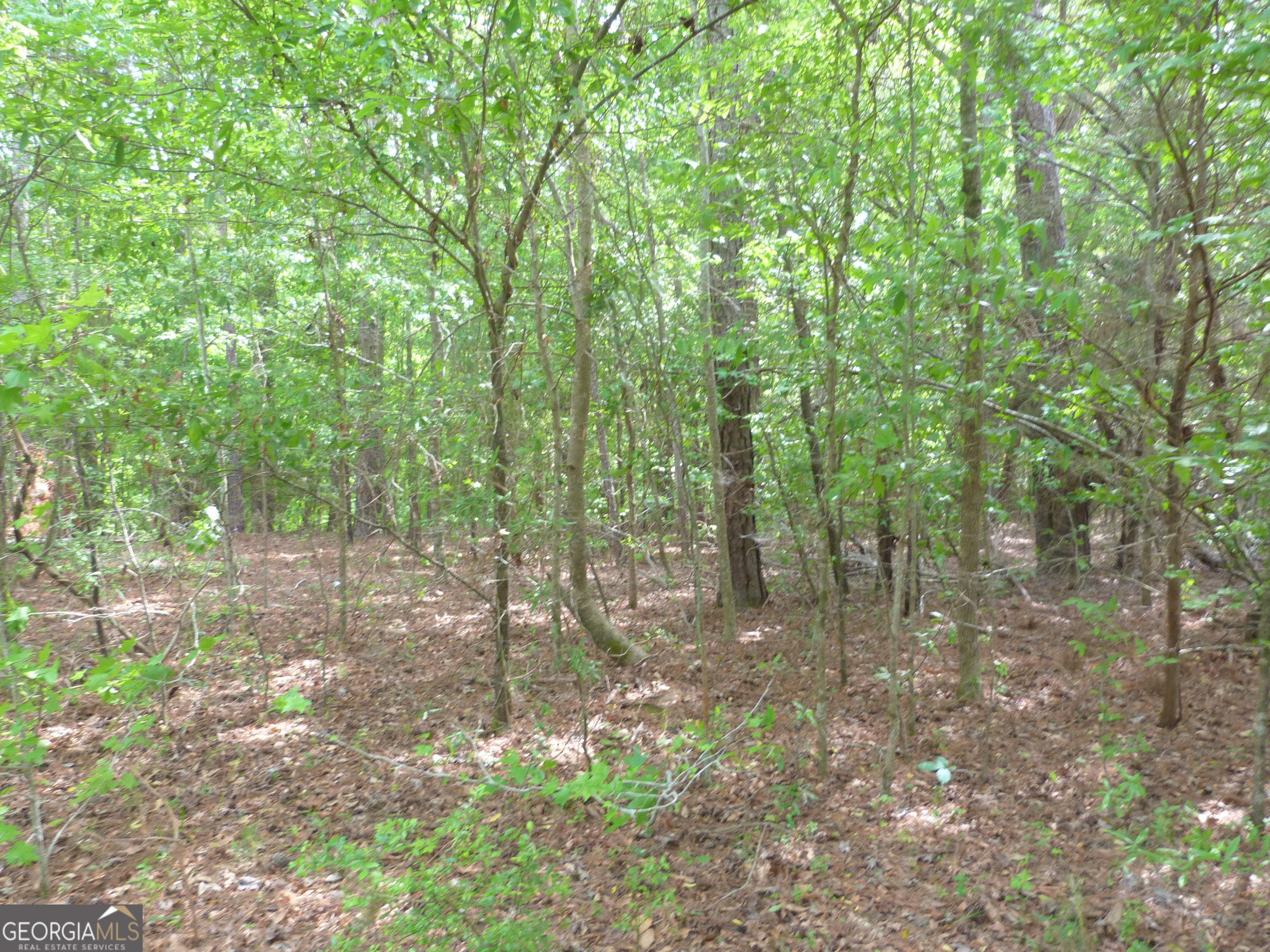 0 Winfield Road Appling, GA 30802 - Photo 5 of 7