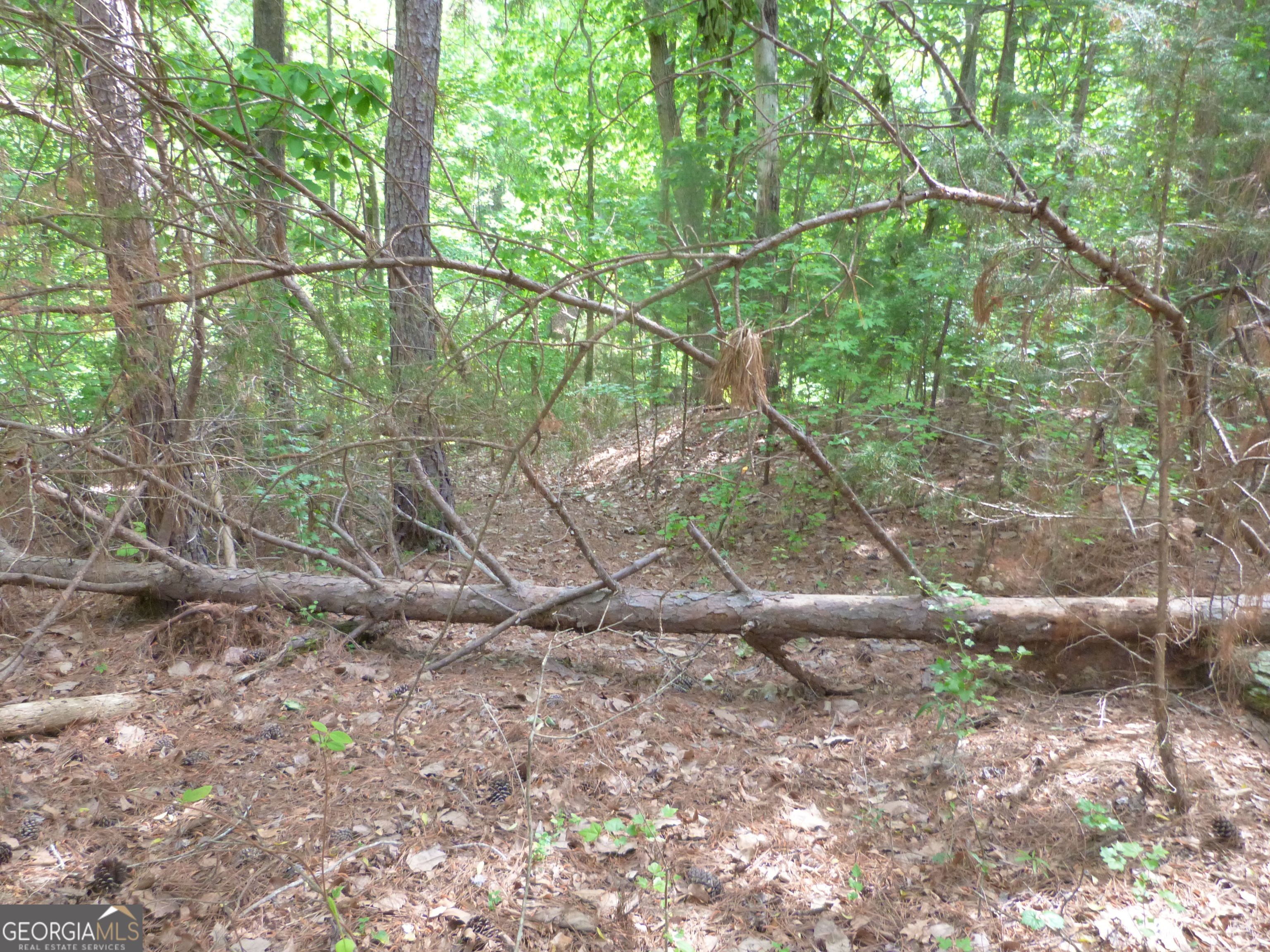 0 Winfield Road Appling, GA 30802 - Photo 6 of 7