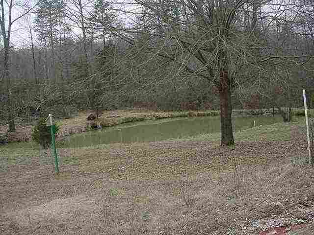 275 Davis School Road Martin, GA 30557 - Photo 1 of 5