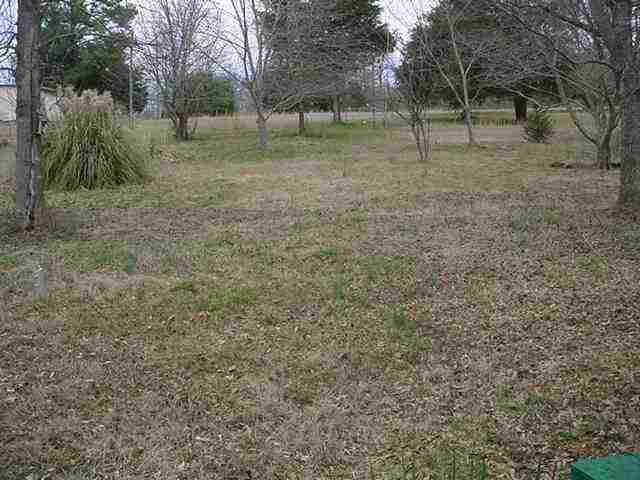 275 Davis School Road Martin, GA 30557 - Photo 3 of 5