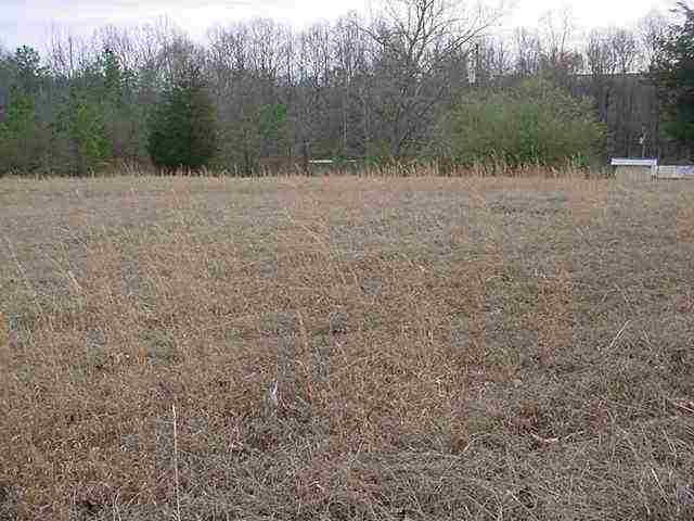 275 Davis School Road Martin, GA 30557 - Photo 4 of 5